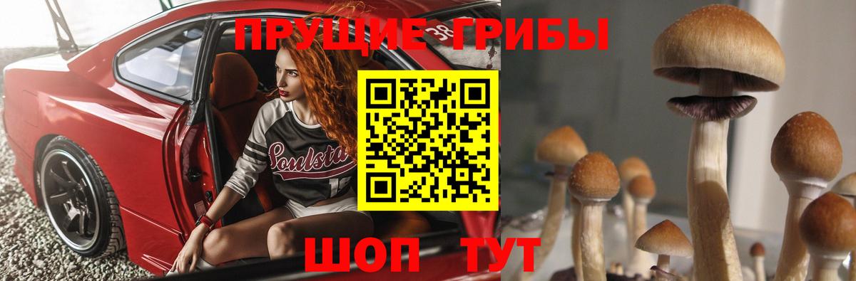 Псилоцибиновые грибы прущие грибы  Вход с VPN  Протвино 